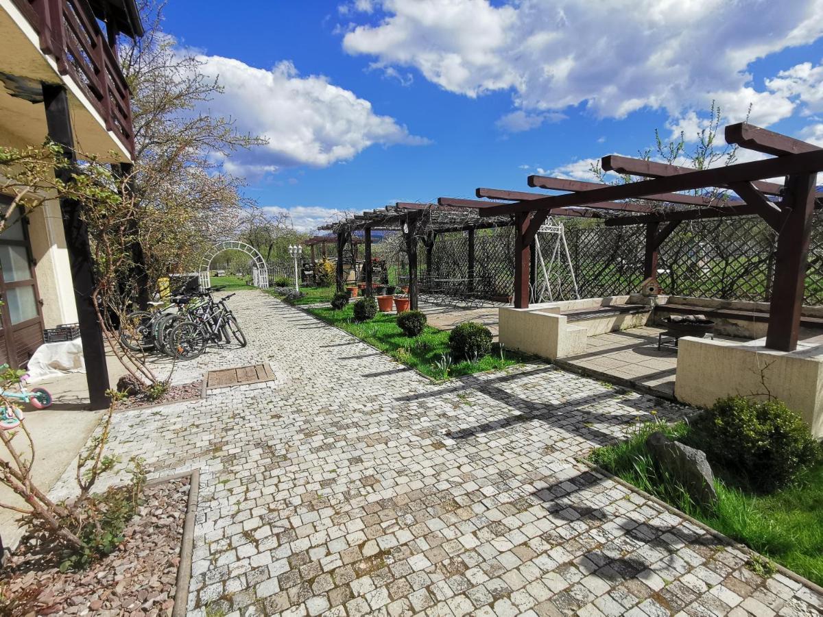 Pensiunea Casa Moga Bucium  Buitenkant foto
