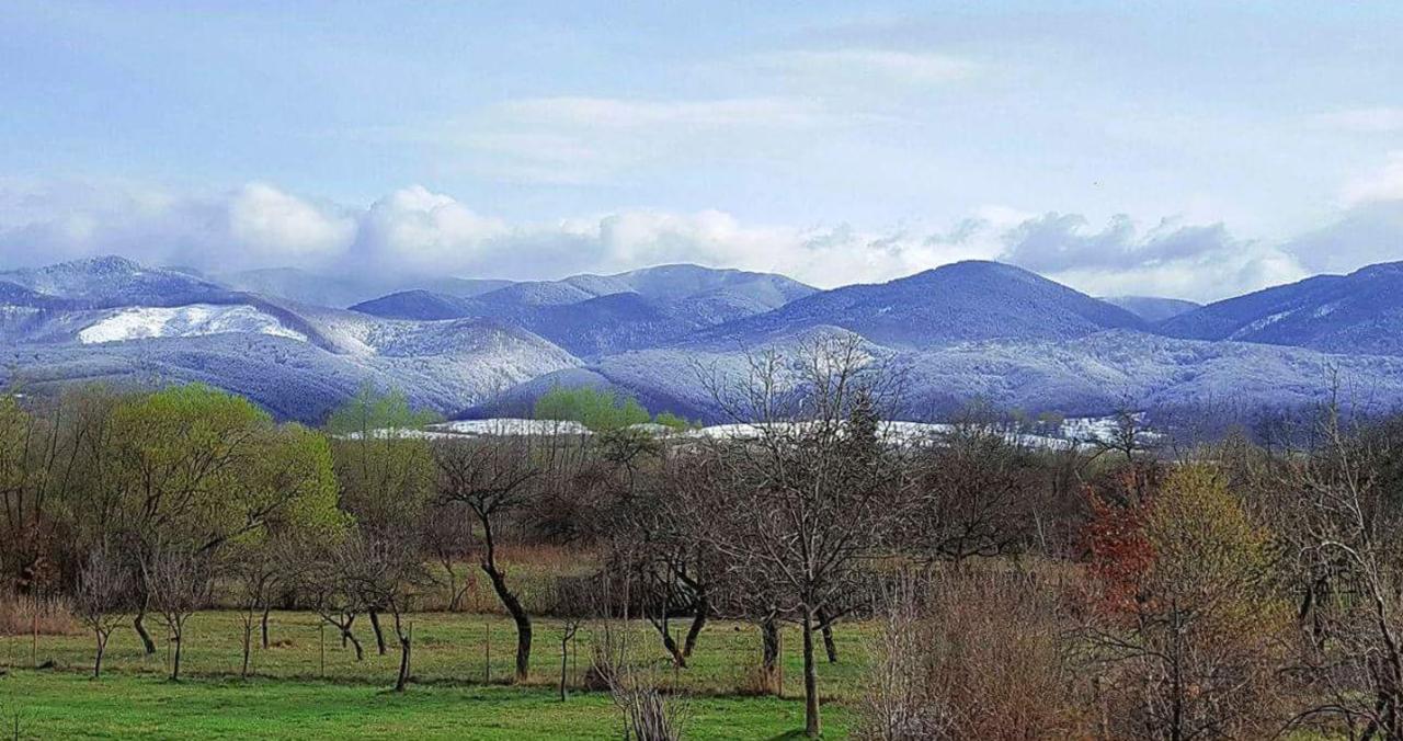 Pensiunea Casa Moga Bucium  Buitenkant foto