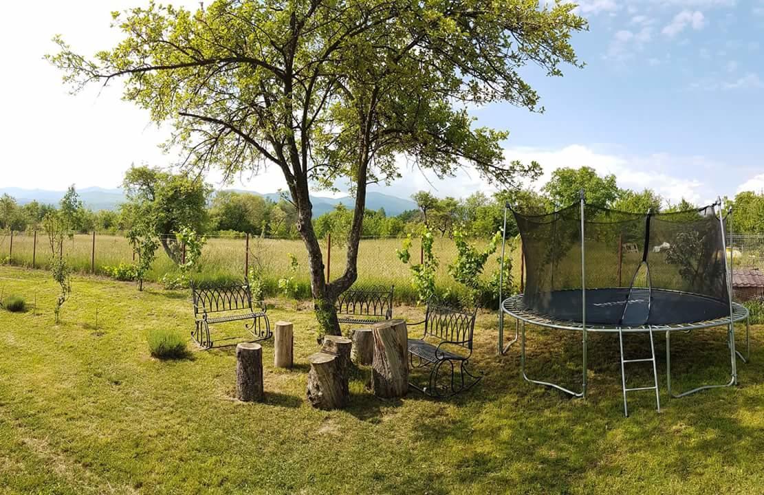 Pensiunea Casa Moga Bucium  Buitenkant foto
