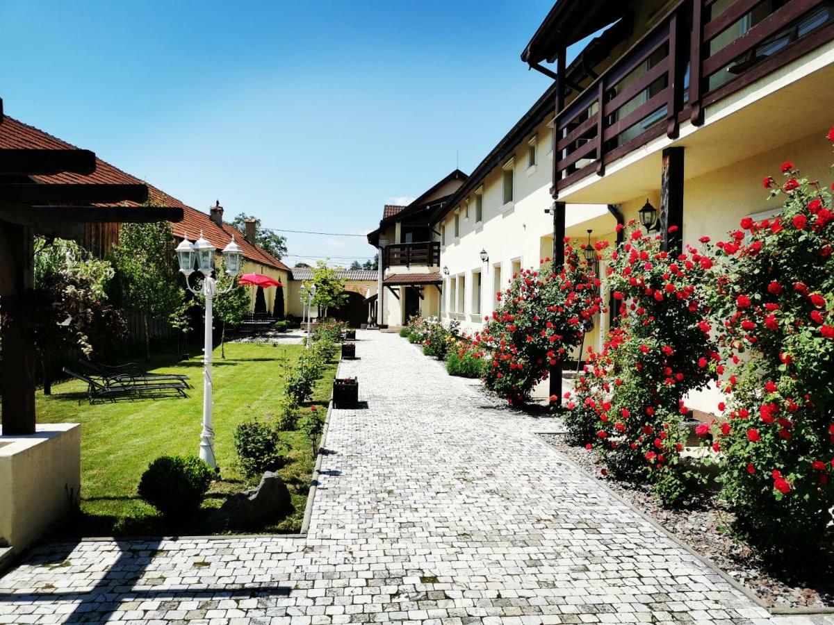 Pensiunea Casa Moga Bucium  Buitenkant foto