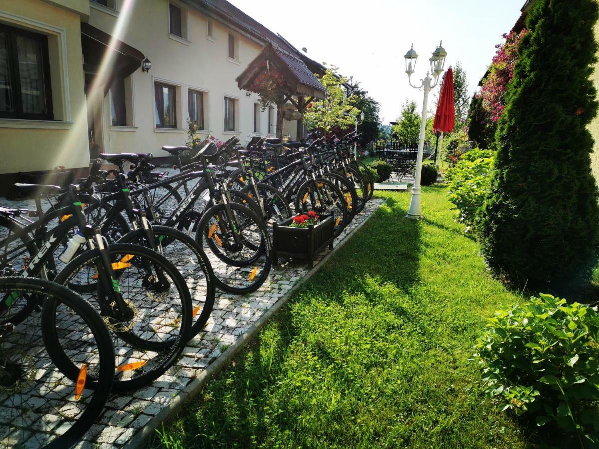 Pensiunea Casa Moga Bucium  Buitenkant foto